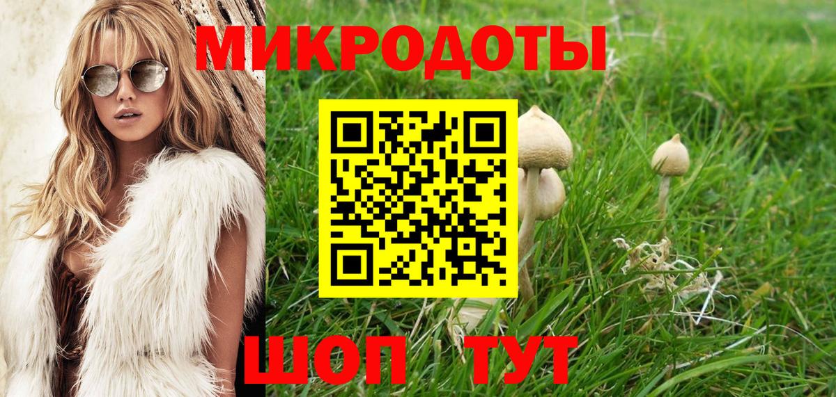 Галлюциногенные грибы Cubensis Шебекино