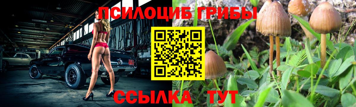 Псилоцибиновые грибы Magic Shrooms  где продают наркотики  Шебекино  Вход с VPN 